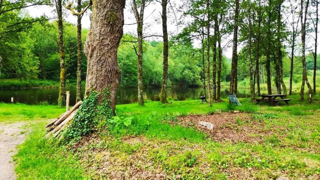 Cap Nature - T3 Et T4 En Perigord Vert - Ideal Pros Et Groupes Max 18P Champniers-et-Reilhac Екстериор снимка
